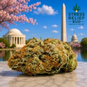 Apple Fritter
