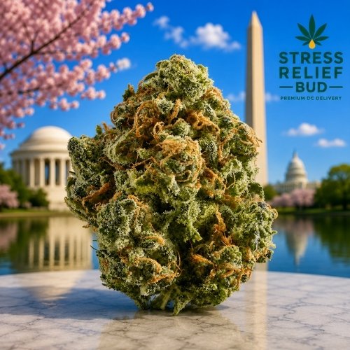 Blue Dream