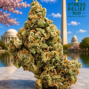 Jack Herer