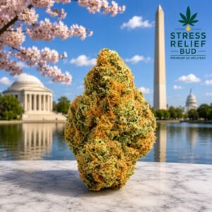 Premium Small Nug Orange Kush (Indica)