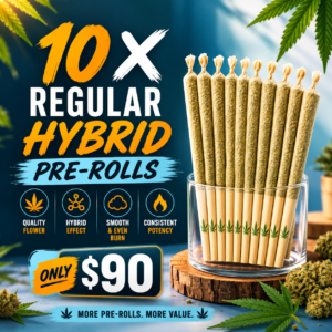 10x regular hyrbid pre-roll